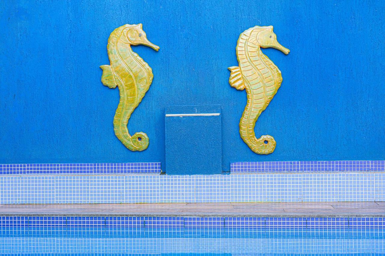 Casa Jaguar Buzios Suites A 3 Minutos Da Praia Geriba Exteriér fotografie